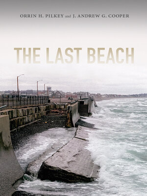 cover image of The last beach